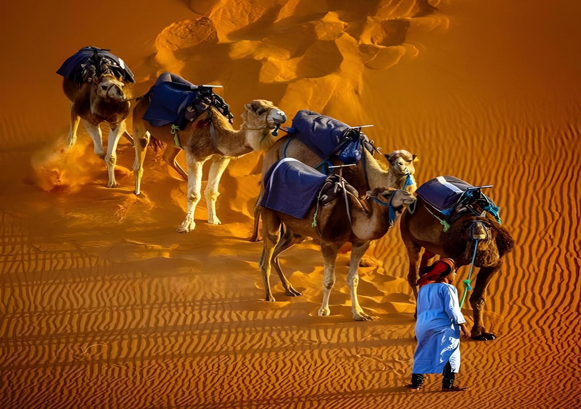 Merzouga Lovely Luxury Camp Exteriör bild