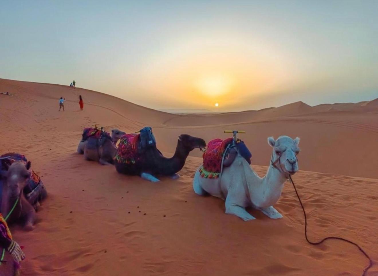 Merzouga Lovely Luxury Camp Exteriör bild